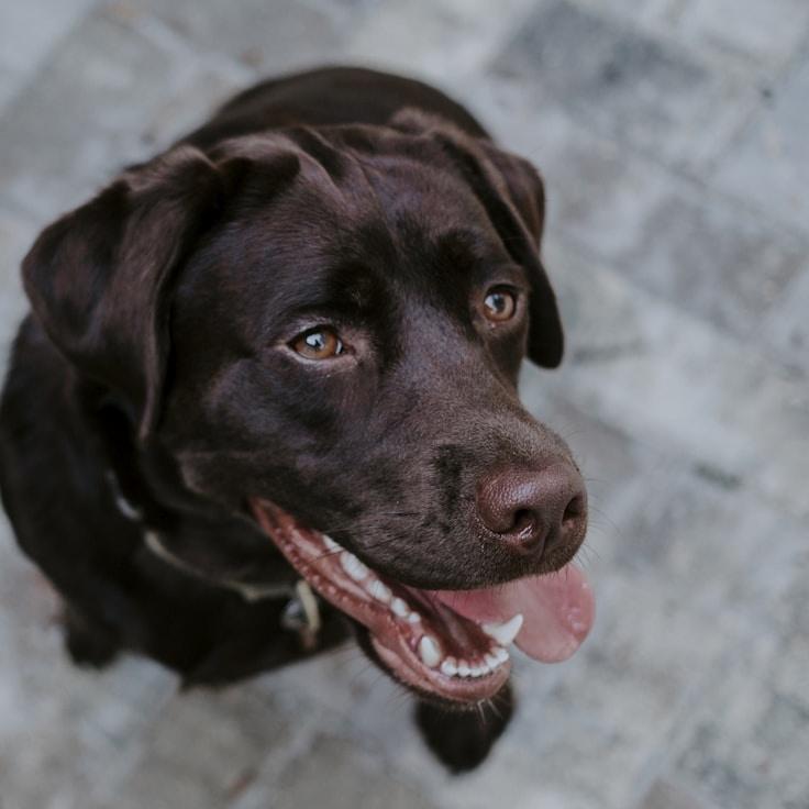 Lena Schmidt - Founder of Relocate & Thrive